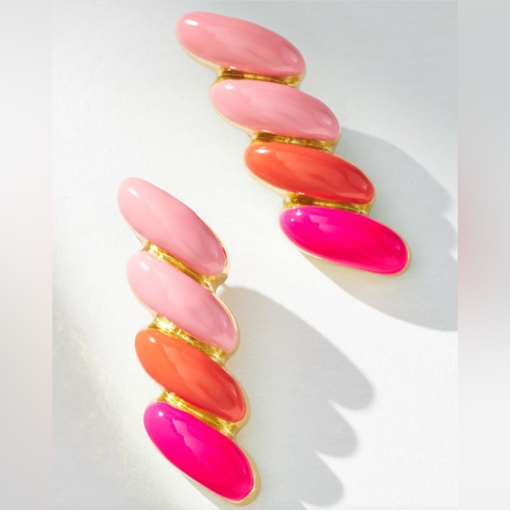 NWT Ombre Twist Post Earrings
